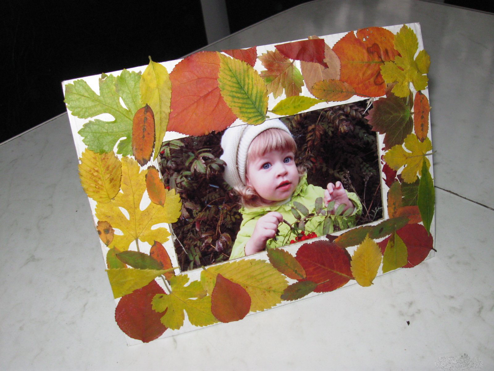 Рамка для фото из осенних листьев