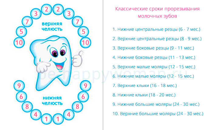 Со скольки лет можно ставить зуб. Зубы у детей порядок прорезывания до года. Зубы схема прорезывания молочных. Схема прорезывания молочных зубов у детей до года. Порядок роста молочных зубов у детей схема.